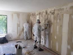  Pink, OK Mold Removal & Remediation Pros